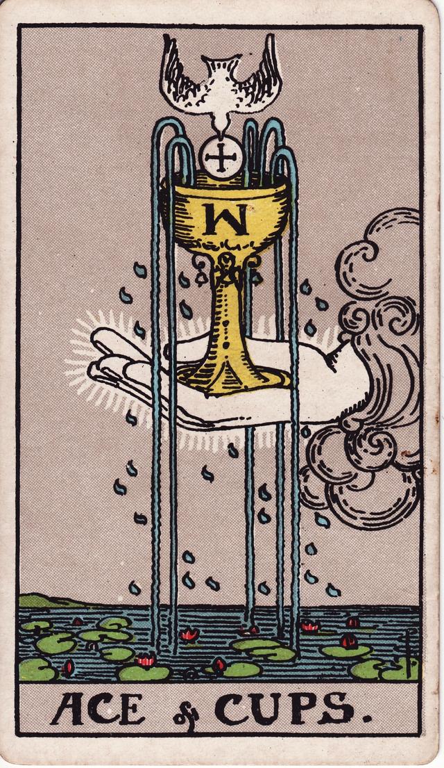 אס הגביעים tarot card