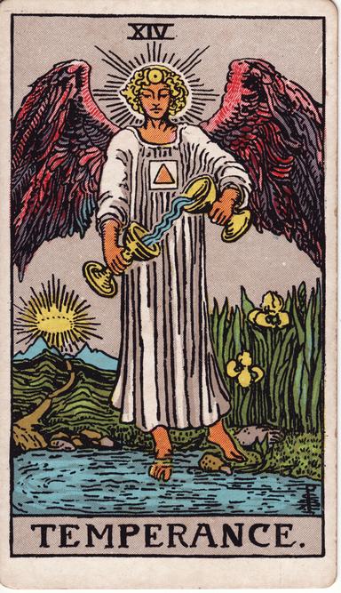 המתינות tarot card