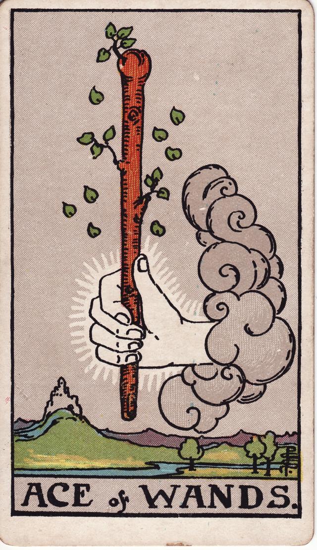 אס המטות tarot card