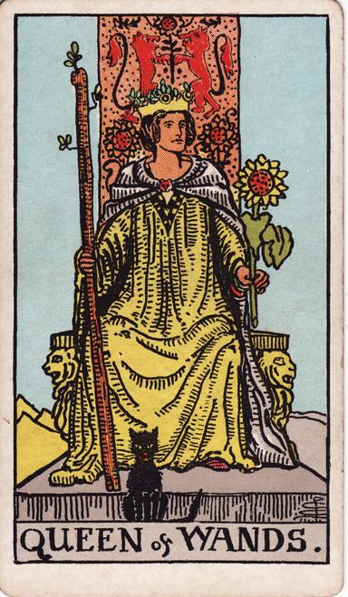 מלכת המטות tarot card